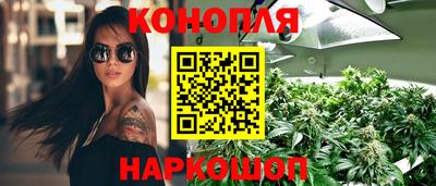 прущие грибы Нарткала