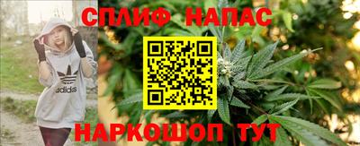 прущие грибы Нарткала