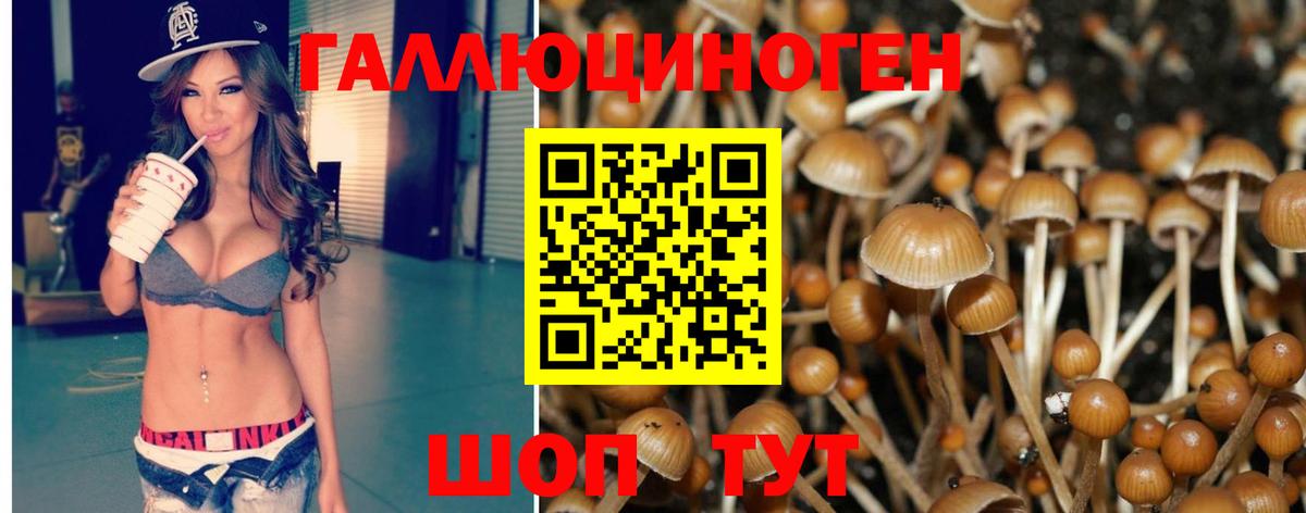 Псилоцибиновые грибы GOLDEN TEACHER Северск