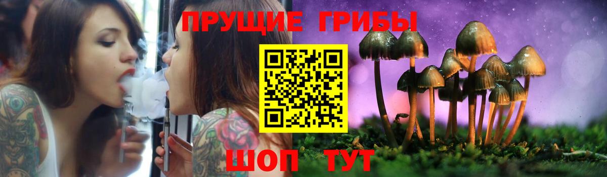 Галлюциногенные грибы Psilocybine cubensis  Вход с VPN  Галлюциногенные грибы GOLDEN TEACHER  Северск 